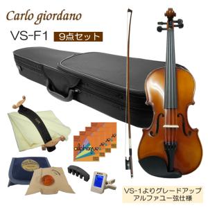 初心者向け バイオリン 調整後出荷 VS-F1 1/10サイズ 9点セット 分数サイズ カルロジョルダーノ｜merry-net