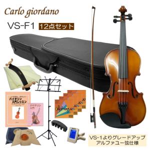 初心者向け バイオリン 調整後出荷 VS-F1 3/4サイズ 12点セット 分数サイズ カルロジョルダーノ｜merry-net
