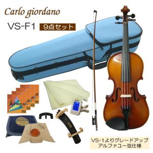 初心者向け バイオリン みずいろケース 調整後出荷 VS-F1 1/10サイズ 9点セット 分数サイズ カルロジョルダーノ｜merry-net