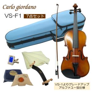 初心者向け バイオリン みずいろケース 調整後出荷 VS-F1 1/16サイズ 7点セット 分数サイズ カルロジョルダーノ｜merry-net