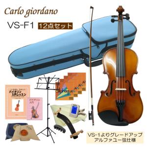 初心者向け バイオリン みずいろケース 調整後出荷 VS-F1 3/4サイズ 12点セット 分数サイズ カルロジョルダーノ｜merry-net