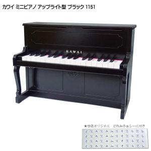 TOMBO アコーディオン T24B 30鍵盤 TOMBO（トンボ） アコーディオン・バッグ NB34 / 34鍵用 ソフトケース