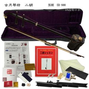 THOMASTIK バイオリン 弦セット DOMINANT PRO 4/4サイズ DP100 E線