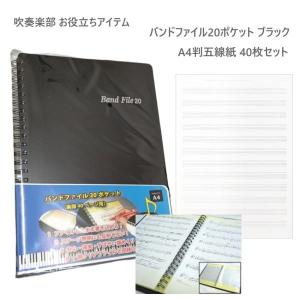 鈴木楽器製作所 SUZUKI スズキ/和音笛 アコード マイナーコード(イ短調