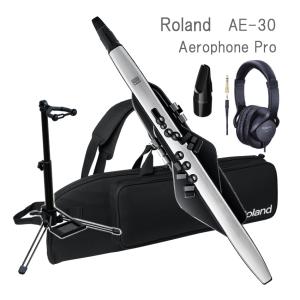 Roland Aerophone Pro /AE-30 エアロフォン プロ デジタル管楽器（ケース/スタンド/マウスピース/ヘッドフォン付き）ローランド エアロホン｜merry-ys4
