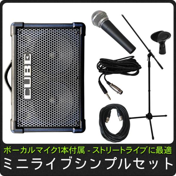 簡易PAセット/出力50W Roland Cube Street EX(路上ライブなどに最適なマイク