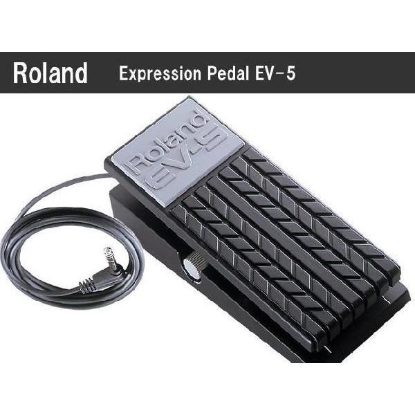 Roland：エクスプレッション・ペダル EV-5■ローランド：エクスプレッションペダル