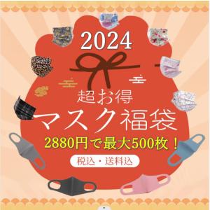 【新春福袋2024】マスク福袋 2024 数量限定 年末年始 使い捨てマスク 大人用 立体マスク  最大500枚パックお得チャンス！