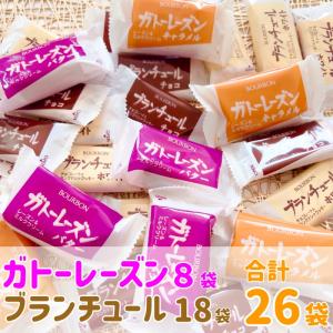 お菓子 詰め合わせ ブランチュール ガトーレーズン セット チョコレート プレゼント ギフト お礼 おやつ｜meruri