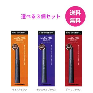 あをにょし 白髪染め 3個セット no3（NUMBER THREE） 白髪染め ナンバースリー ヒュウ 80g 1本と