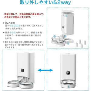 Color:タイマー式(二匹) 【2023最新...の詳細画像3