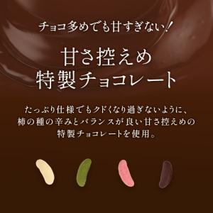 柿の種チョコ 2種類から選べる 170g 20...の詳細画像3