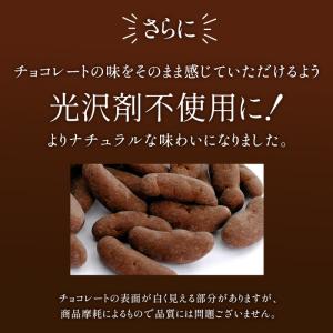 柿の種チョコ 2種類から選べる 170g 20...の詳細画像4