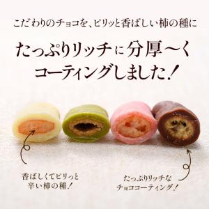 柿の種チョコ 2種類から選べる 170g 20...の詳細画像5