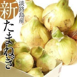 予約販売 淡路島産新たまねぎ　10kg［約27〜40玉］［同梱不可］1箱［10kg］１配送でお届け【4月下旬より順次発送開始】【送料無料】