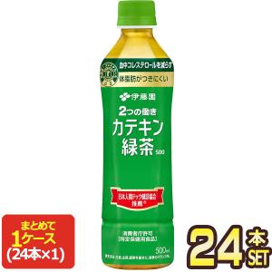 伊藤園 カテキン緑茶 500mlPET×24本【...の商品画像