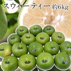 イスラエル産 スウィーティー 大玉 12〜18玉 約6kg  [常温] 【5〜8営業日以内に出荷】 送料無料