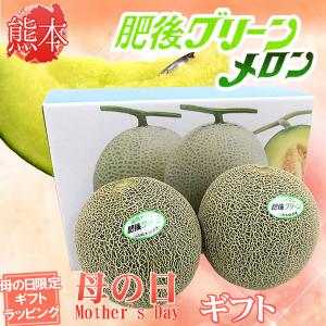 母の日ギフト 肥後グリーンメロン 秀優品 ML 2玉 約2kg