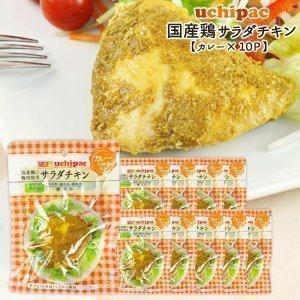 ［内野家］1個でたんぱく質30g!!【uchipac】国産素材のサラダチキン カレー×10袋［常温］【3〜4営業日以内に出荷】【送料無料】