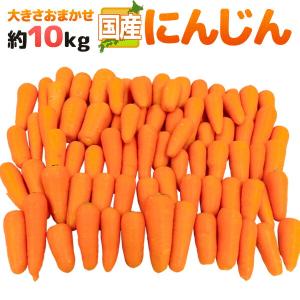 国内産限定 にんじん 訳あり 約10kg [クール便]  送料無料 【4〜5日営業日以内に出荷】［指定日不可］｜meshiya