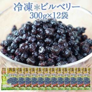 冷凍ビルベリー　300g×12袋クール便［冷凍］にてお届け【3〜4営業日以内に出荷】