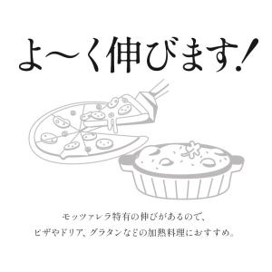 冷凍グラスフェッド モッツァレラ シュレッド ...の詳細画像5