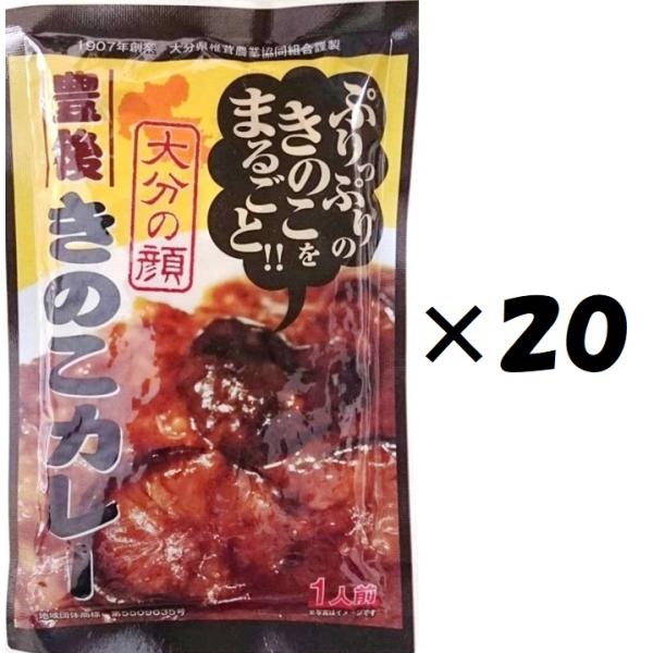 （20袋セット）大分の顔　豊後きのこカレー180g×20袋（AT）（代引不可）（沖縄・離島への発送は...