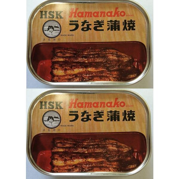 （２個セット）（全国送料無料）（Y）浜名湖食品 うなぎ蒲焼缶詰×2個セット（代引・他の商品と混載不可...