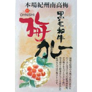 (30個セット)黒毛和牛カレー 梅肉入り200g...の商品画像