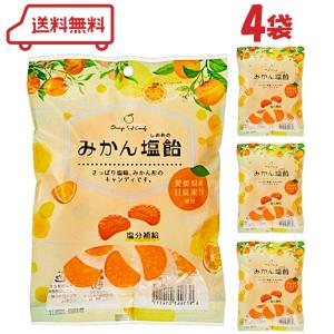 金扇 みかん塩飴 110g × 4袋 みかんアメ...の商品画像