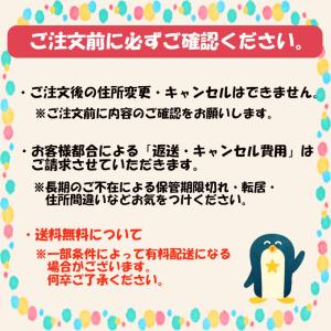カンロ パリオンラムネ 梅味 16g × 12...の詳細画像3