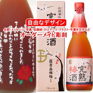 イラスト 酒 瓶 梅酒 果実酒 の商品一覧 ドリンク 水 お酒 食品 通販 Yahoo ショッピング