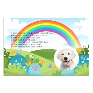 【大切なペットの写真を入れて1枚から印刷OK！】ペット メモリアルカード 虹の橋 花と虹 愛犬 愛猫 愛鳥