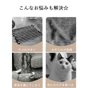 爪研ぎシート ペット爪とぎシート ペット爪とぎ...の詳細画像1