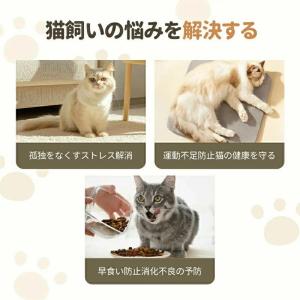 猫 犬 訓練 知育給餌器 知育訓練 ペット知育...の詳細画像1