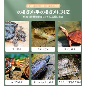 カメ 水槽 フィルター付き 小型 排泄物分離 ...の詳細画像3