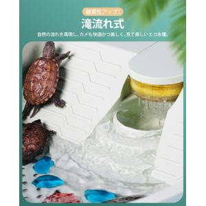 カメ 水槽 フィルター付き 小型 排泄物分離 ...の詳細画像5