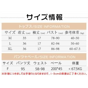 ベリーダンス 衣装 セット レディース ジャス...の詳細画像5