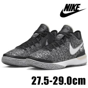 Nike ナイキレブロン 黒/グレー ZOOM LEBRON レブロン（NIKE） NIKE ZOOM LEBRON NXXT GEN EP DR8788 003