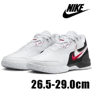 バッシュ　ナイキ　レブロンネクストジェン 29cm レブロン（NIKE） NIKE LEBRON NXXT GEN AMPD EP FJ1567 102