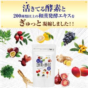 サプリメント 酵素 × 酵母 イースト × エ...の詳細画像5