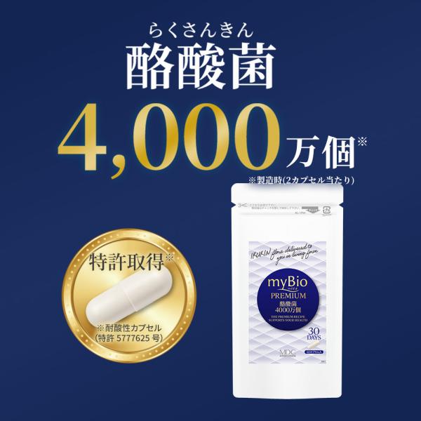 酪酸菌 サプリメント マイビオ プレミアム （60カプセル/30回分） 乳酸菌 ビフィズス菌  メタ...