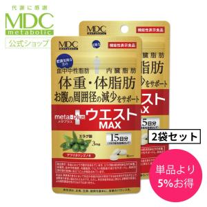 和漢の森 桑の葉＆茶カテキンの恵み 38.4g ( 320mg × 120粒