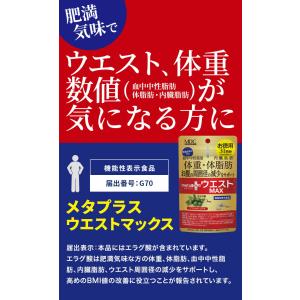 サプリメント メタプラス ウエスト マックス ...の詳細画像1
