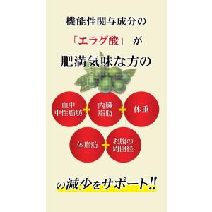 サプリメント メタプラス ウエスト マックス ...の詳細画像3