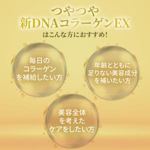 美容ドリンク 3本セット つやつや 新 DNA...の詳細画像1