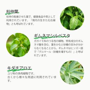 減肥茶 快々減肥 杜仲茶 (228g/60袋入...の詳細画像2