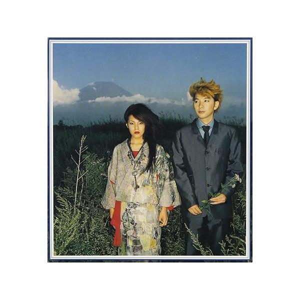 【中古】悲しみのハンター / Lita （帯あり）