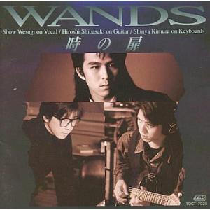 wands 時の扉