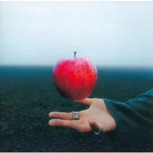 【中古】シャイン、光の道しるべ/白いクリスマス  /  175R（帯無し）